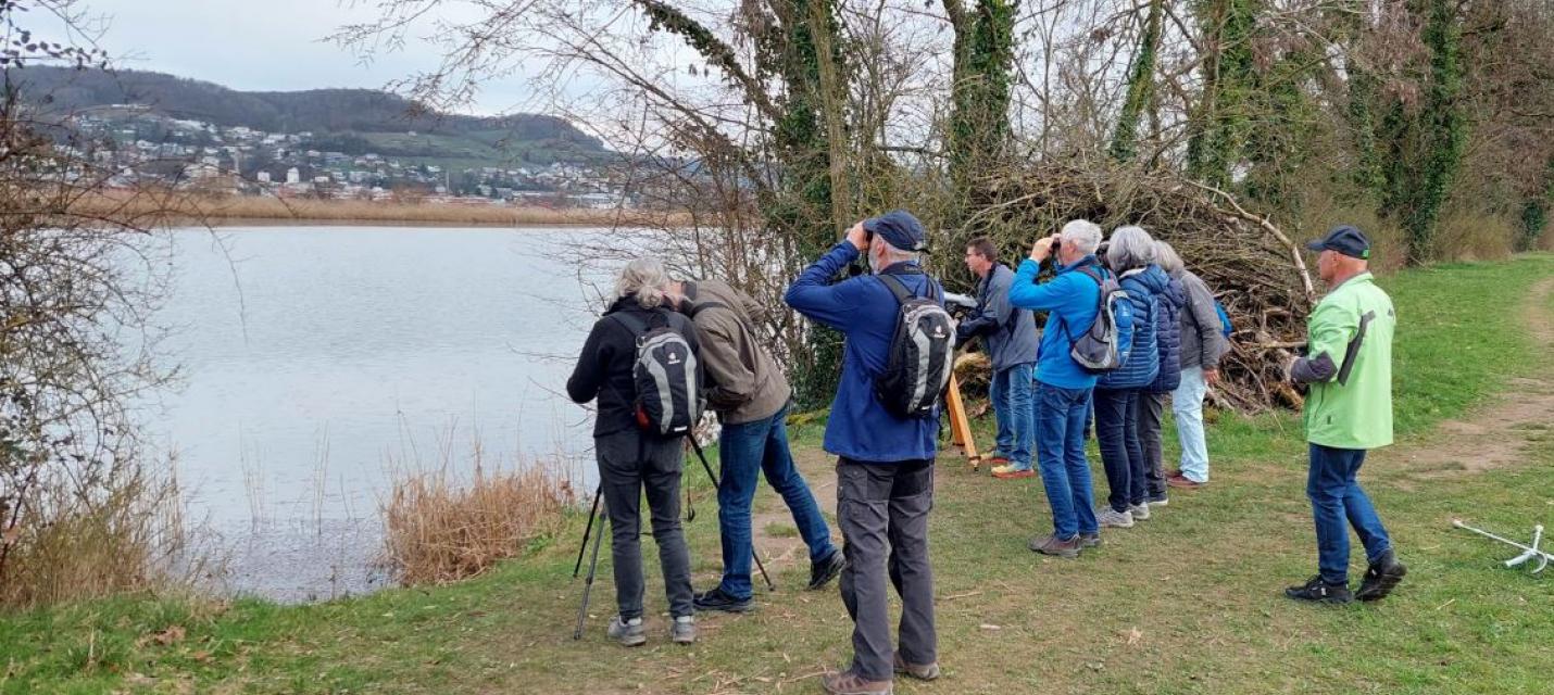Exkursionsteilnehmer am Klingnauer Stausee